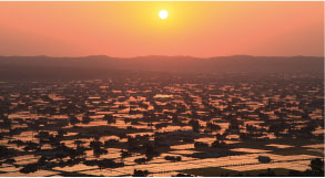 Tonami Plain